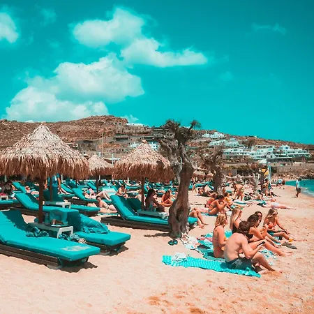 Paradise