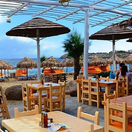 Paradise (adults Only) 2*